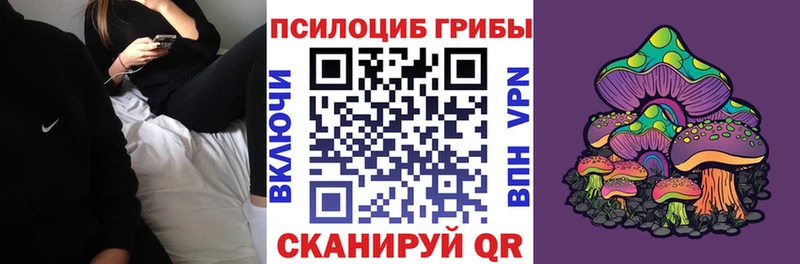 MEGA   цены наркотик  Петропавловск-Камчатский  Галлюциногенные грибы Cubensis 