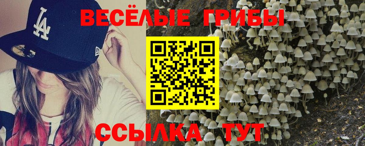 Петропавловск-Камчатский  Галлюциногенные грибы Psilocybine cubensis  Вход с VPN 